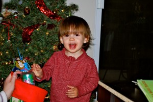 Happy Noah!